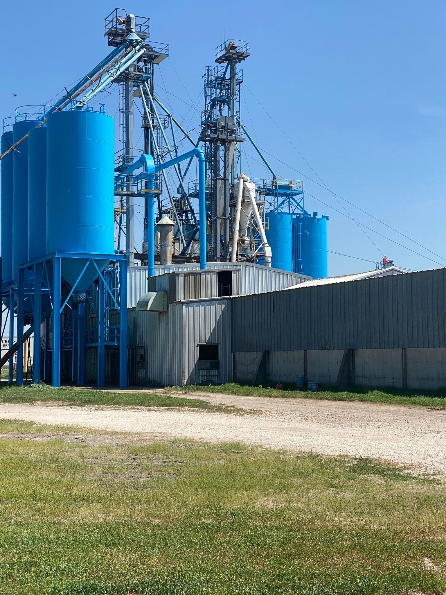 Grain elevator complex with blue silos and support structures under a clear sky - after