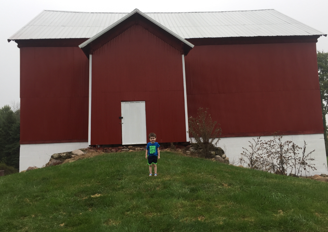 Red barn with a white door on a grassy hill, with a person standing in front.