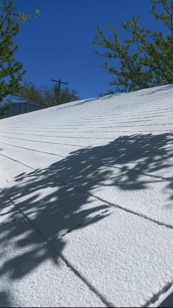 White roof under a bright blue sky, with tree shadows cast across it.