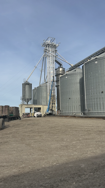 Grain silos and supporting infrastructure against a blue sky.