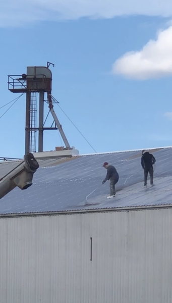 Two people on a metal roof, possibly working, near a grain silo under a blue sky.