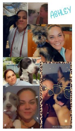 Collage of a woman with different dogs. Smiling, she cuddles, pets, and interacts with each. Text reads 