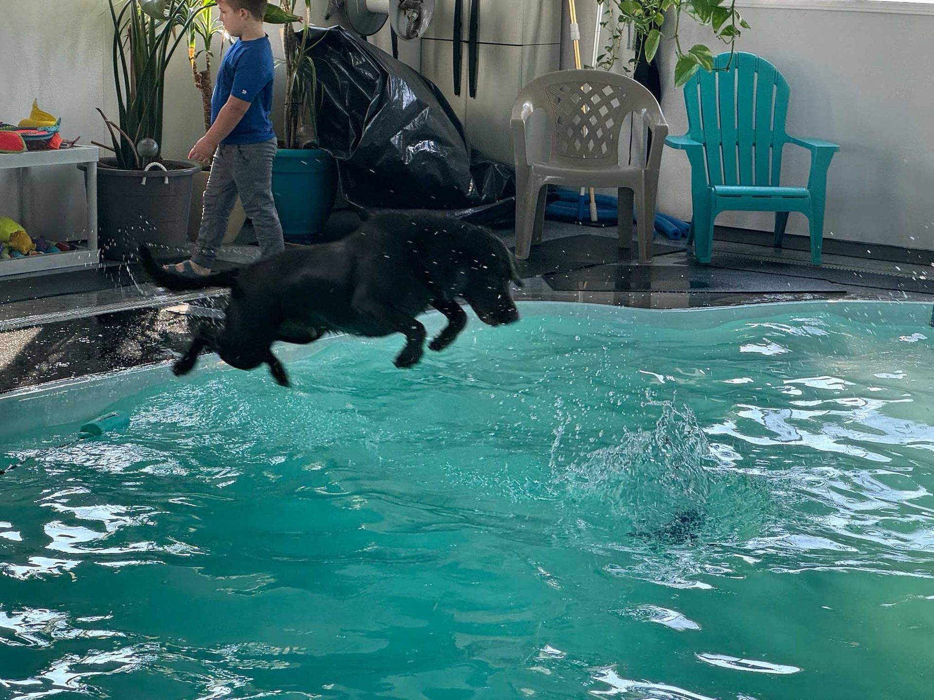 Black dog leaping into a turquoise pool, water splashing. A child watches nearby.