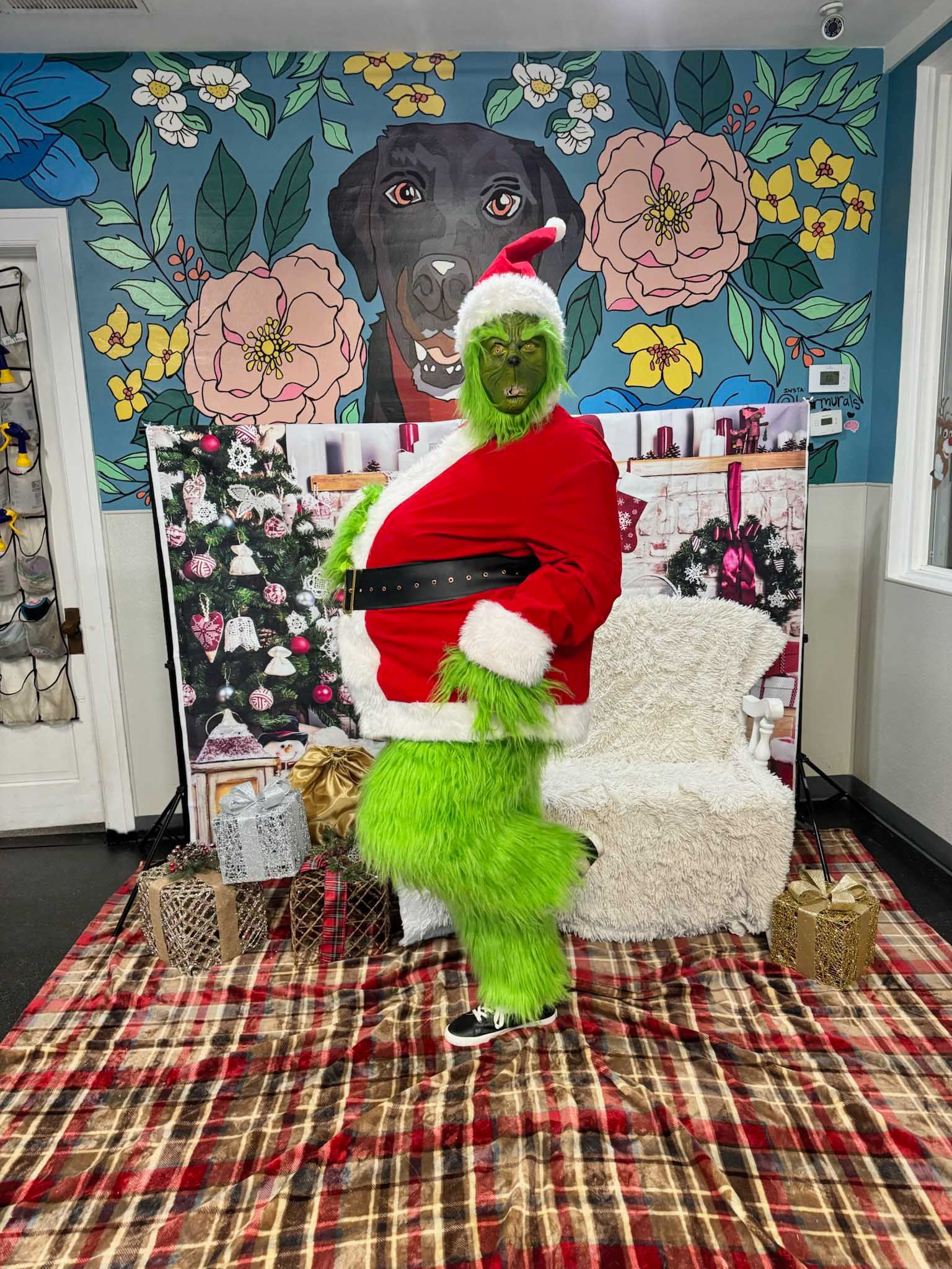Grinch in Santa suit poses on plaid rug, surrounded by gifts and a holiday backdrop.