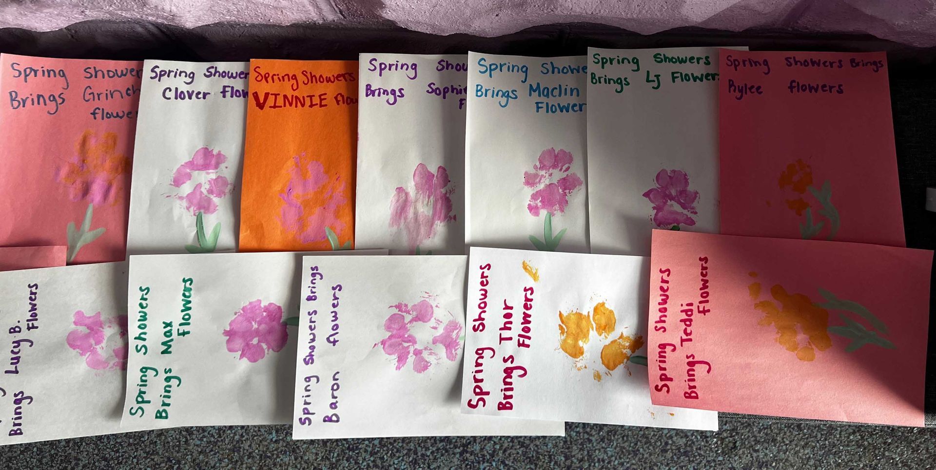 Seed packets of different colors with flower drawings and handwritten labels.