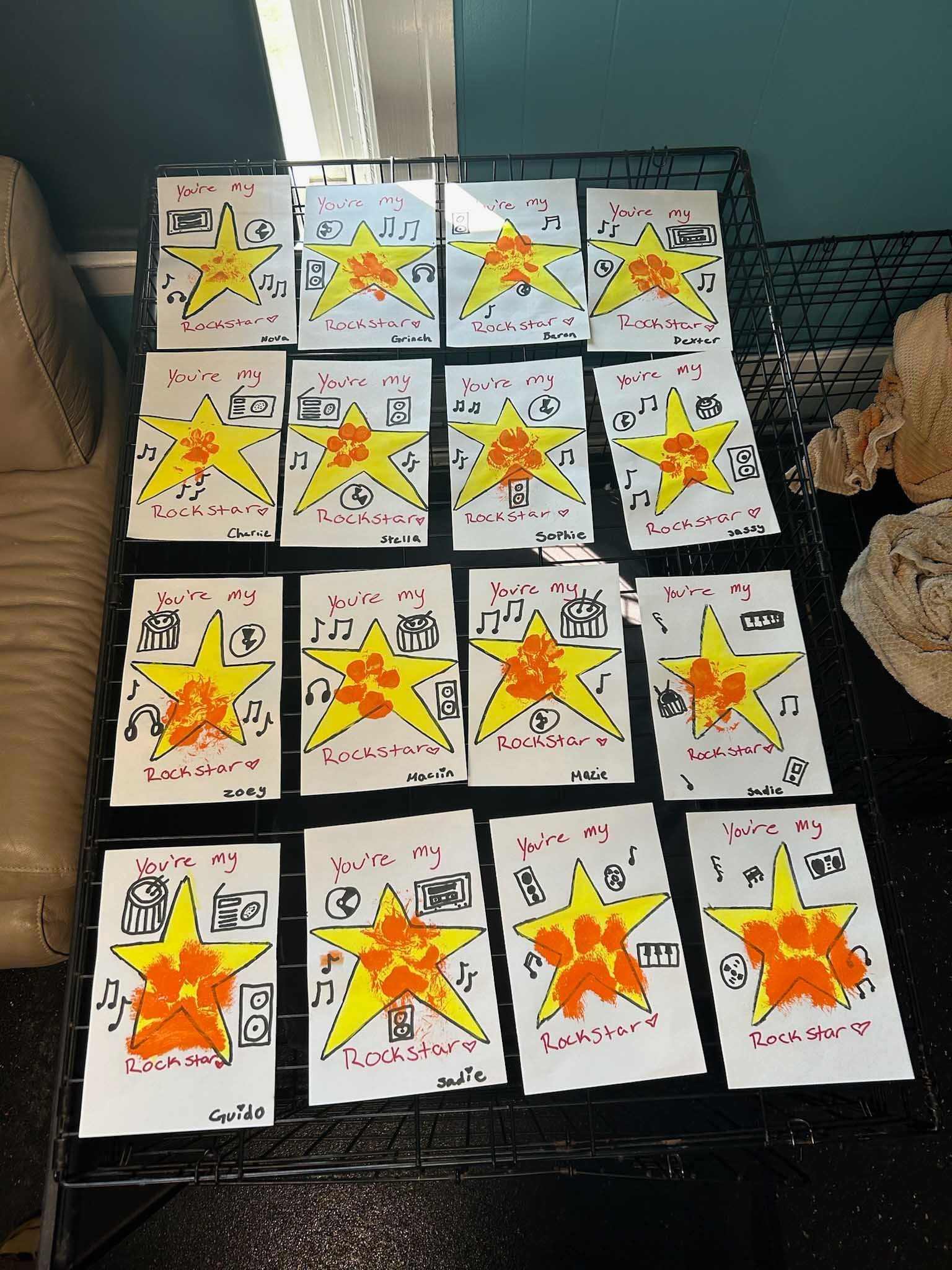 White cards with orange paw prints, yellow stars, and black text on a black wire rack.