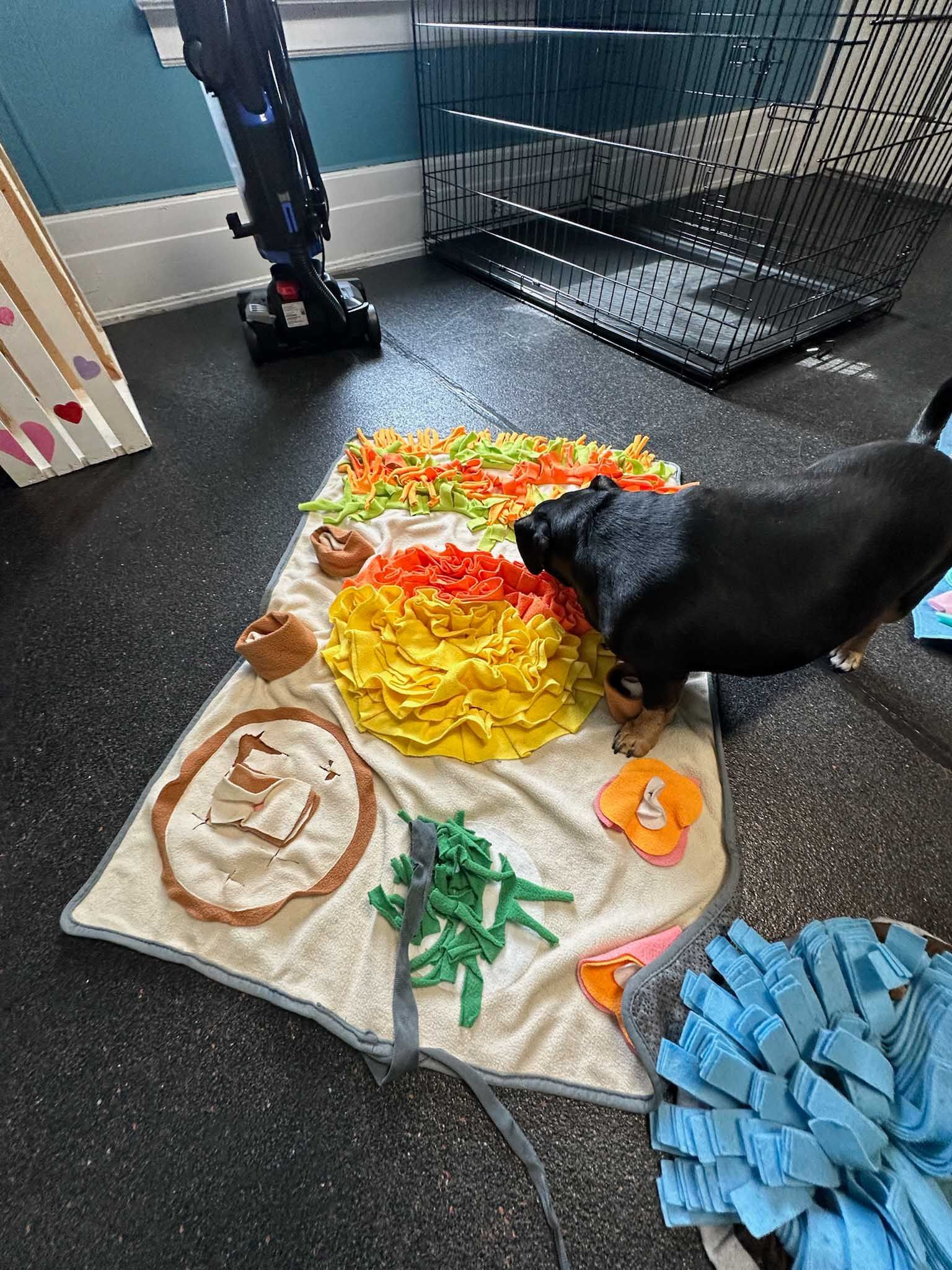 Black dog sniffing a colorful mat with various textures and hidden treats on a dark floor.