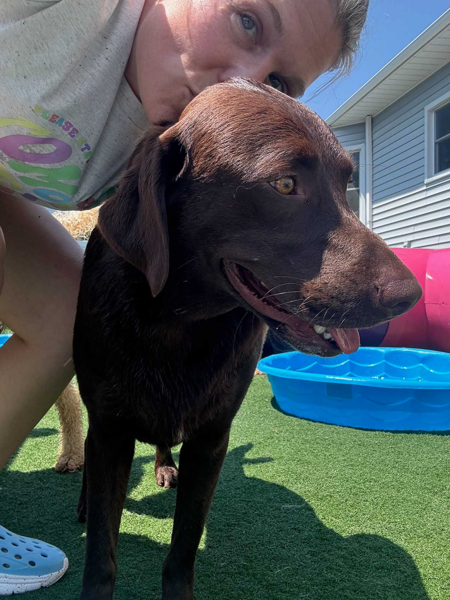 A person with a wet brown dog, both looking at the camera outdoors near a blue pool.