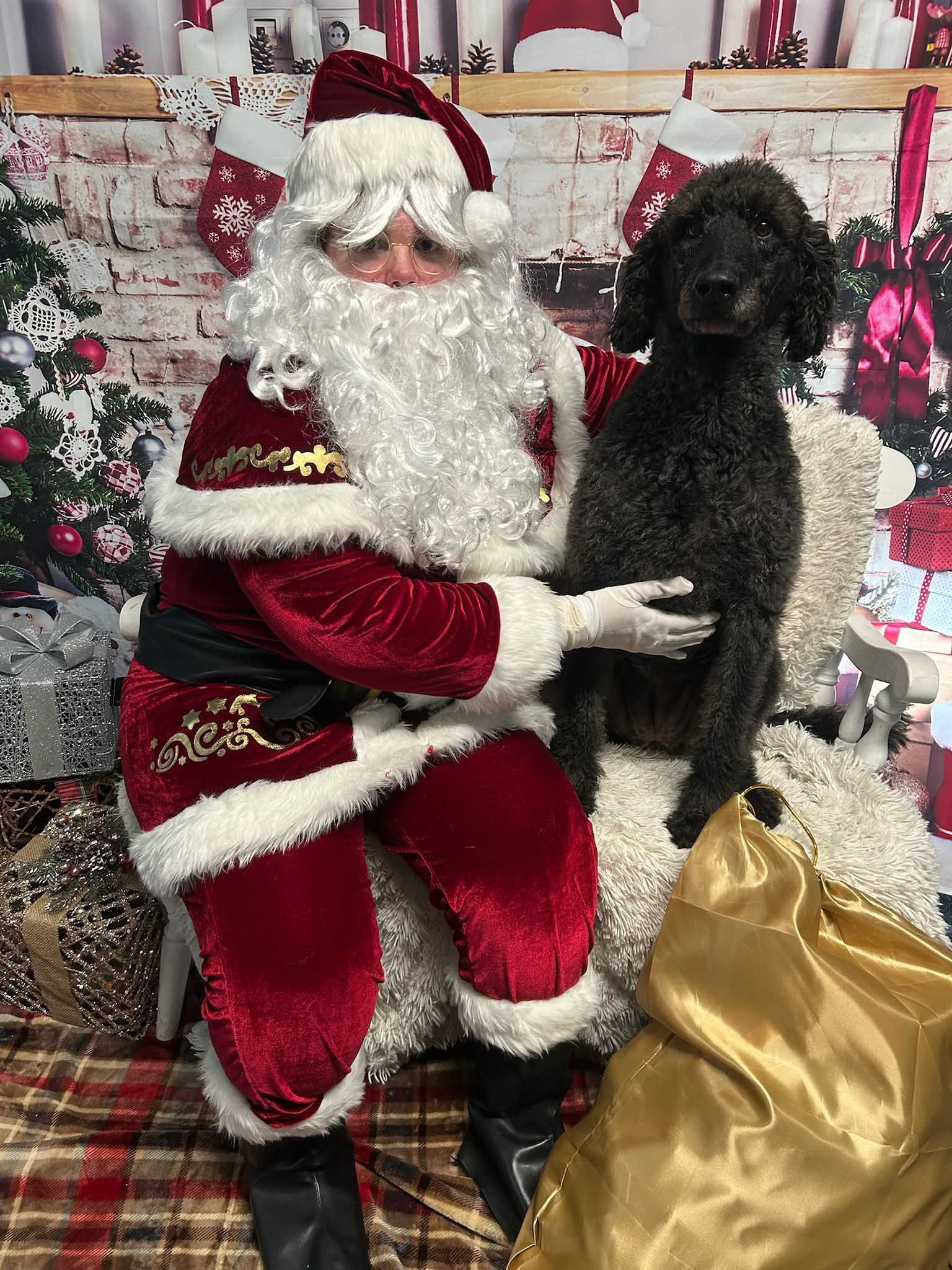 Santa Claus with a black poodle on his lap, sitting in front of a holiday backdrop.