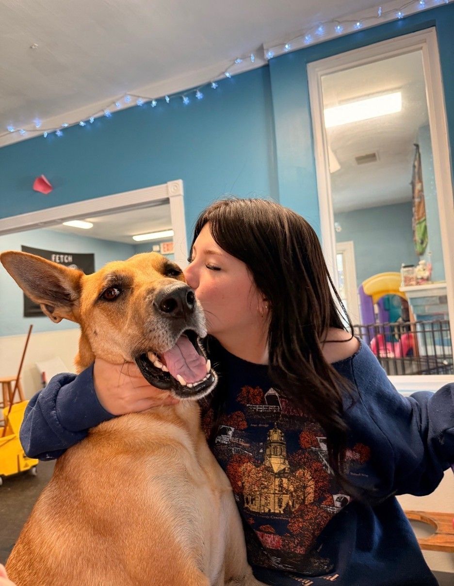 Woman kissing a dog with tan and brown fur inside a room with blue walls.