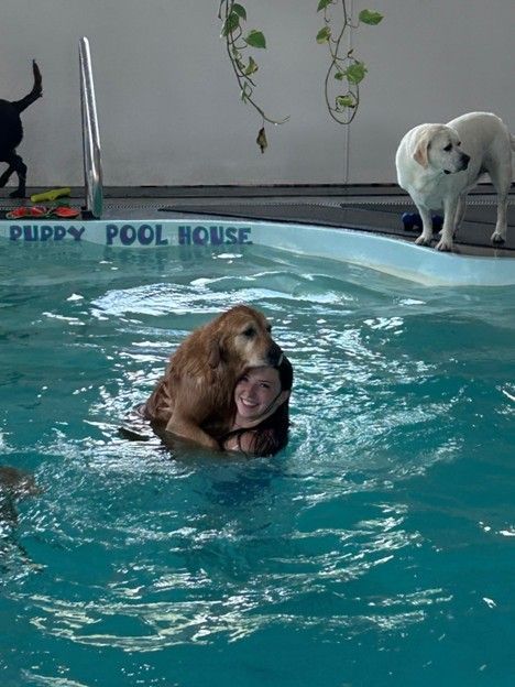 Woman in pool with golden retriever dog. Other dogs watch nearby at a 