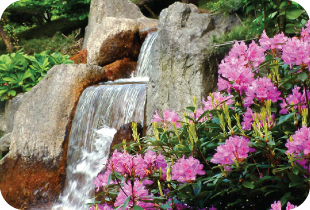Small waterfalls with pink flowers on the side.
