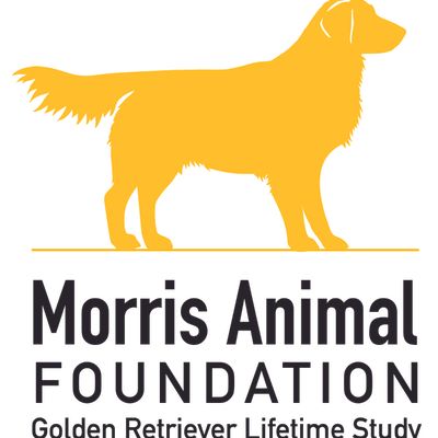 Morris Animal Foundation Golden Retriever Lifetime Study - Logo