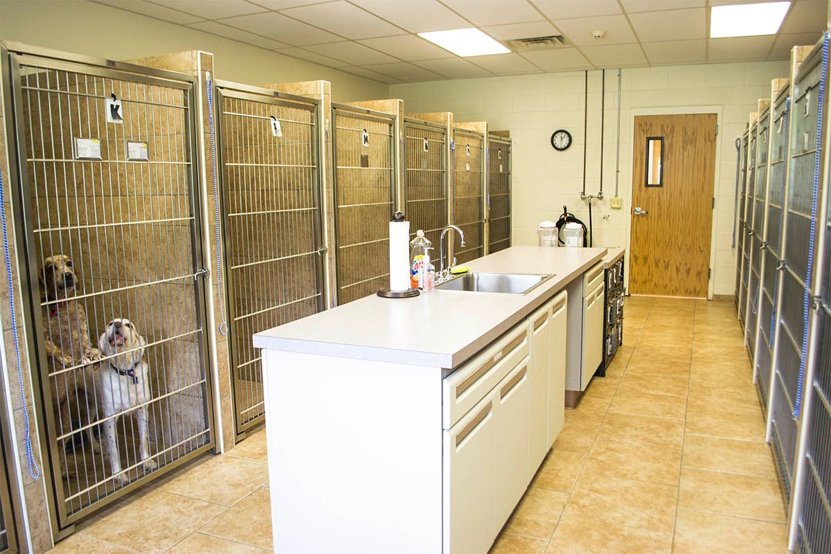 A room with a lot of cages and a sink in it.