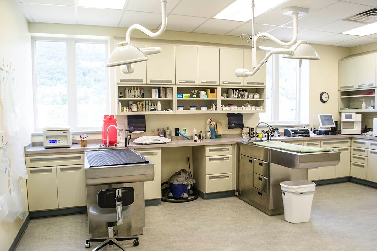 An empty veterinary operating room with stainless steel instruments and cabinets