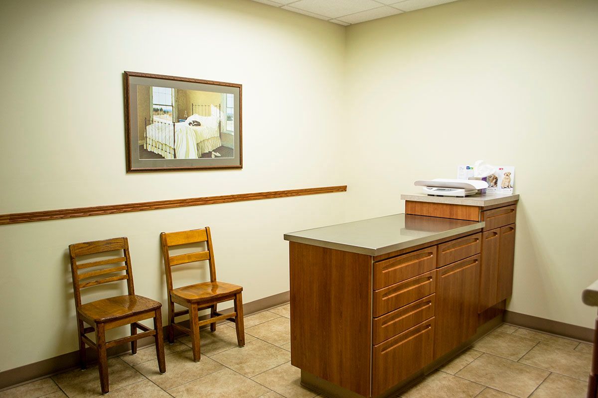 Pet clinic examination room