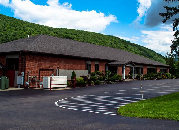 Wellsboro Small Animal Hospital P.C. clinic