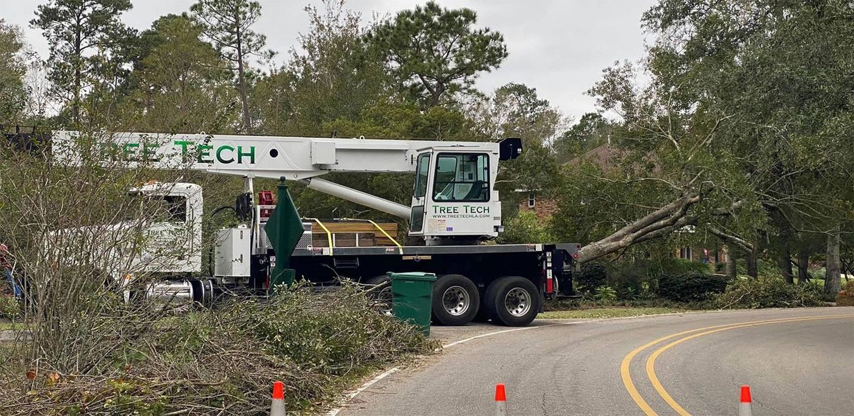 Tree Tech of Louisiana, LLC
