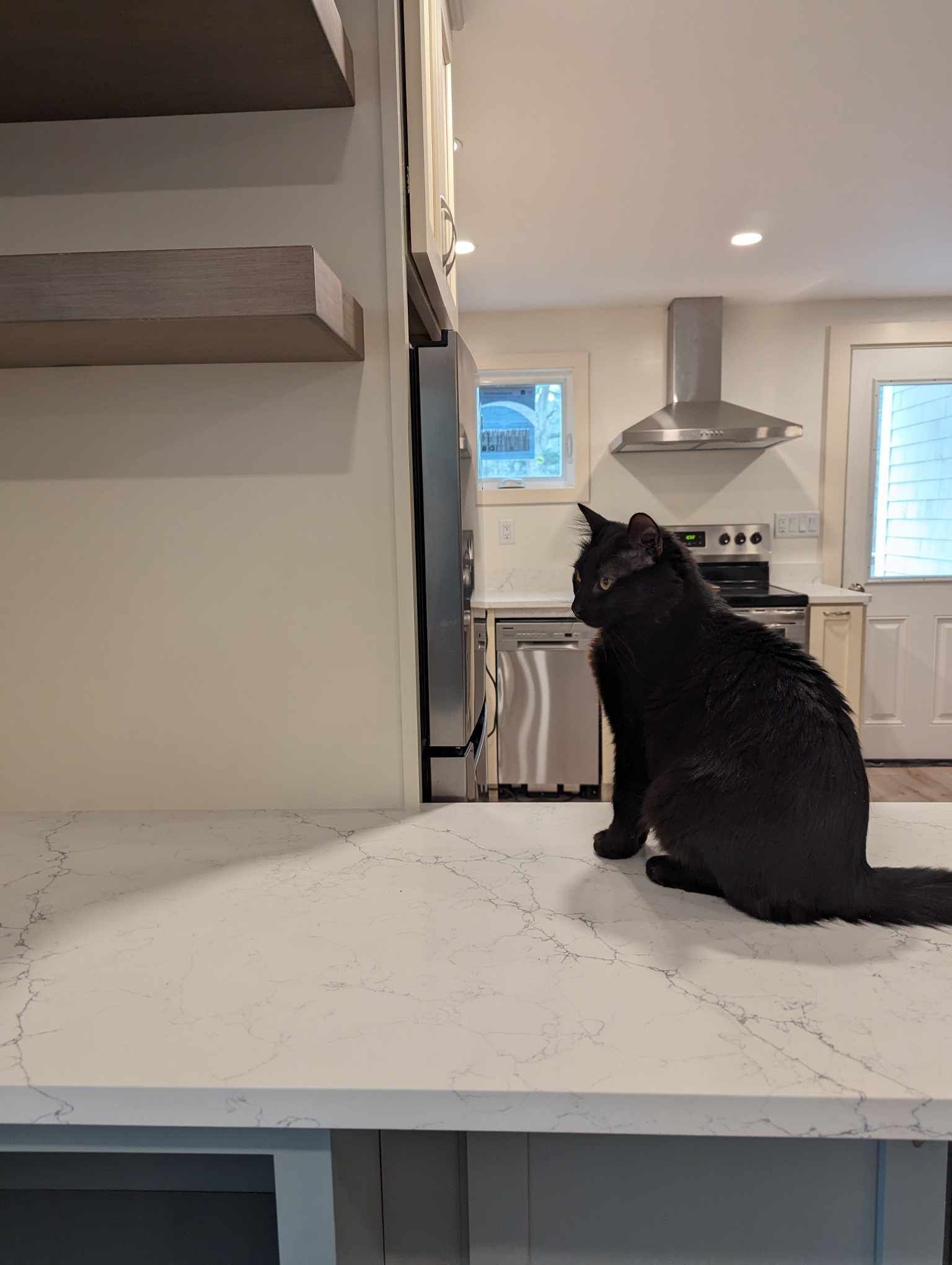 A black cat is sitting on a counter in a kitchen.