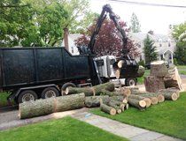 Residential & commercial tree services