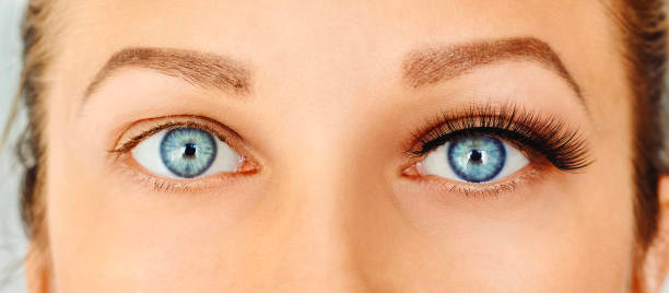Ooh La Lash Before & After: Experience the transformation Ooh La Lash Before & After: Experience the transformation