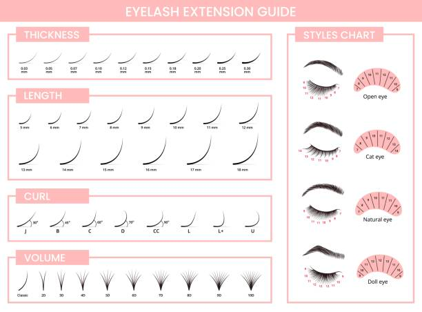 a display of different lash extension styles – classic, volume, hybrid a display of different lash extension styles – classic, volume, hybrid