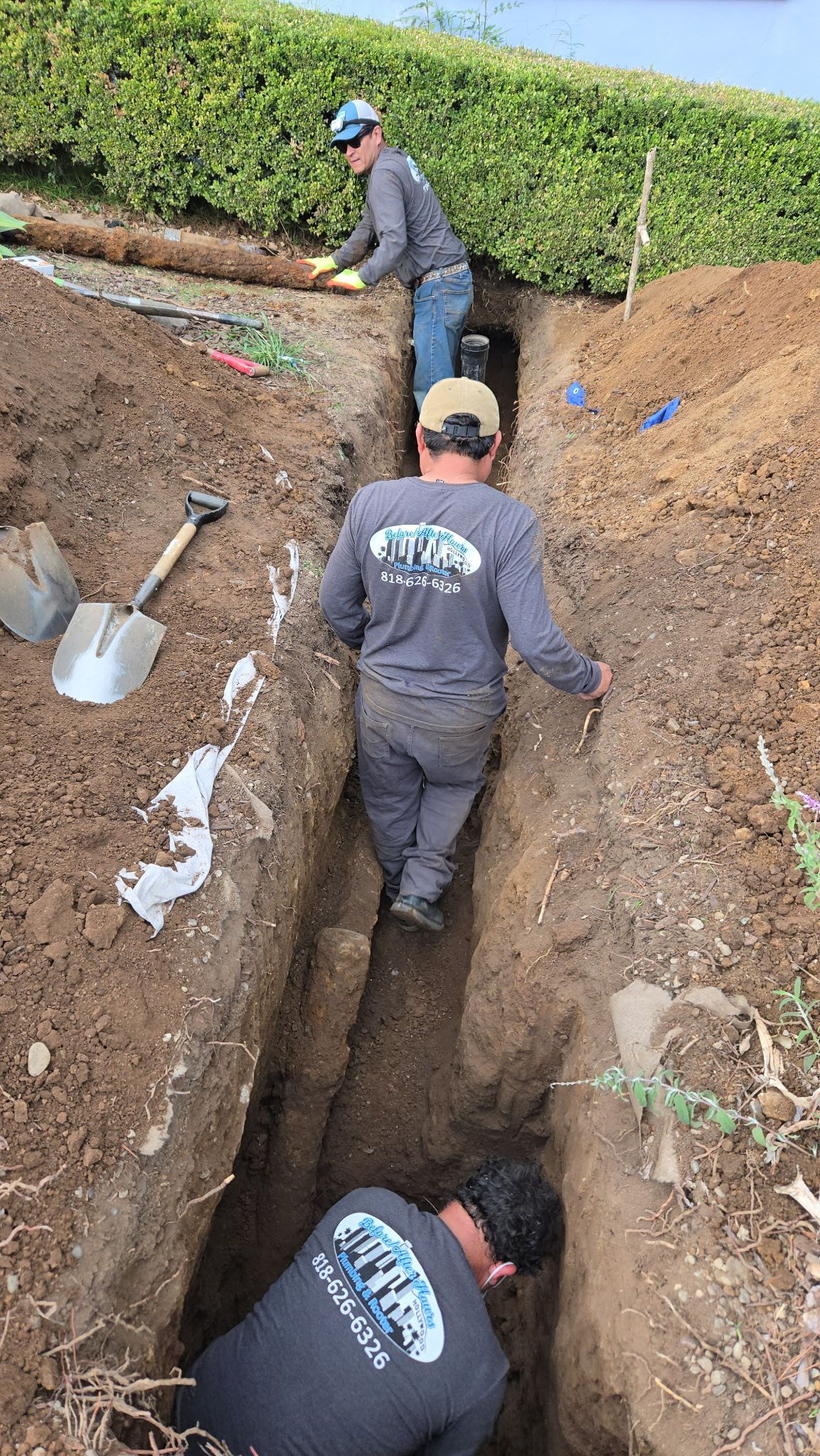 Three workers dig a long, deep trench in the ground alongside a green hedge, using shovels and manual labor.