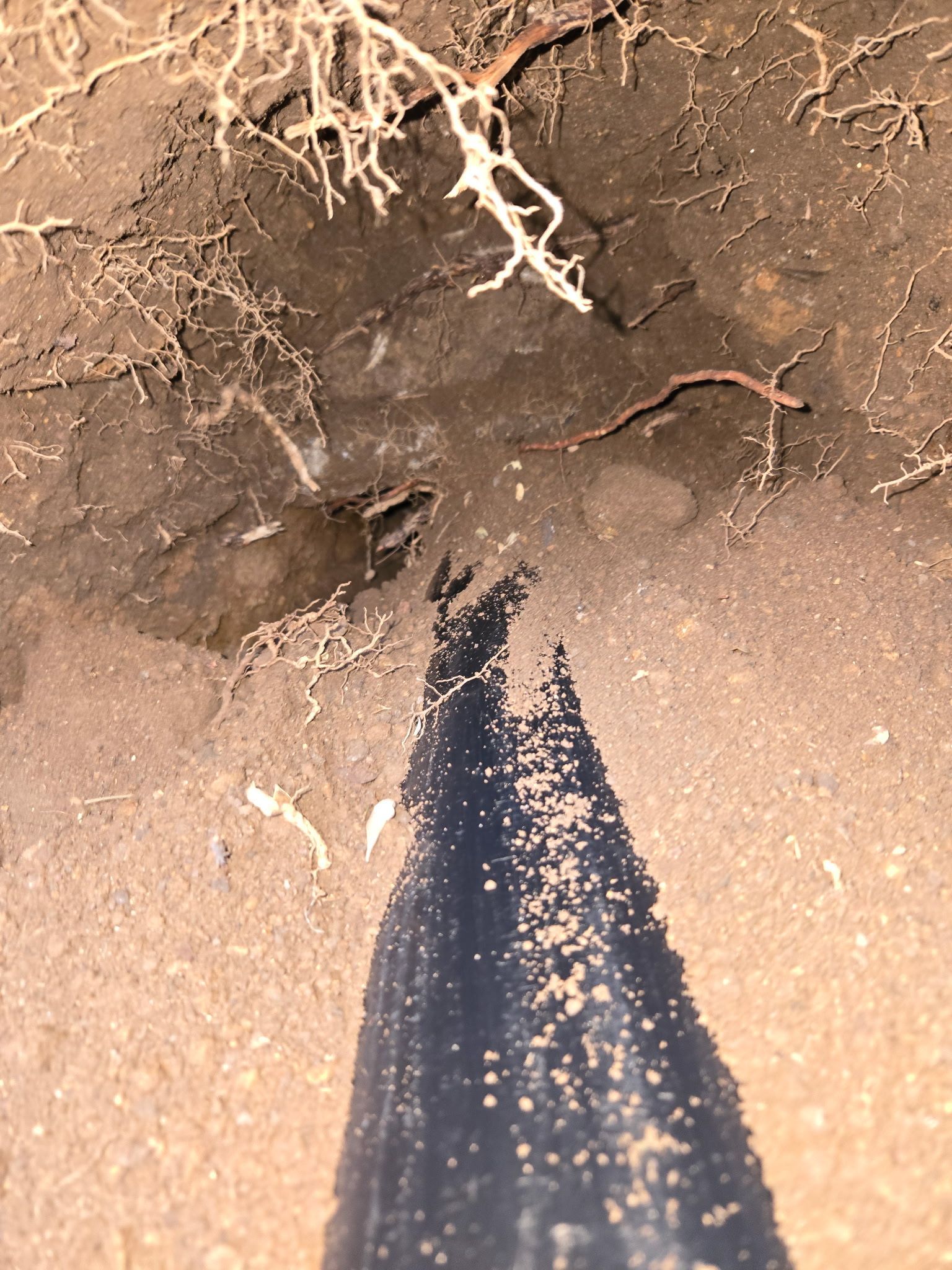 A dark liquid pools in a patch of dirt next to exposed plant roots and the shadow of a person standing over the area.