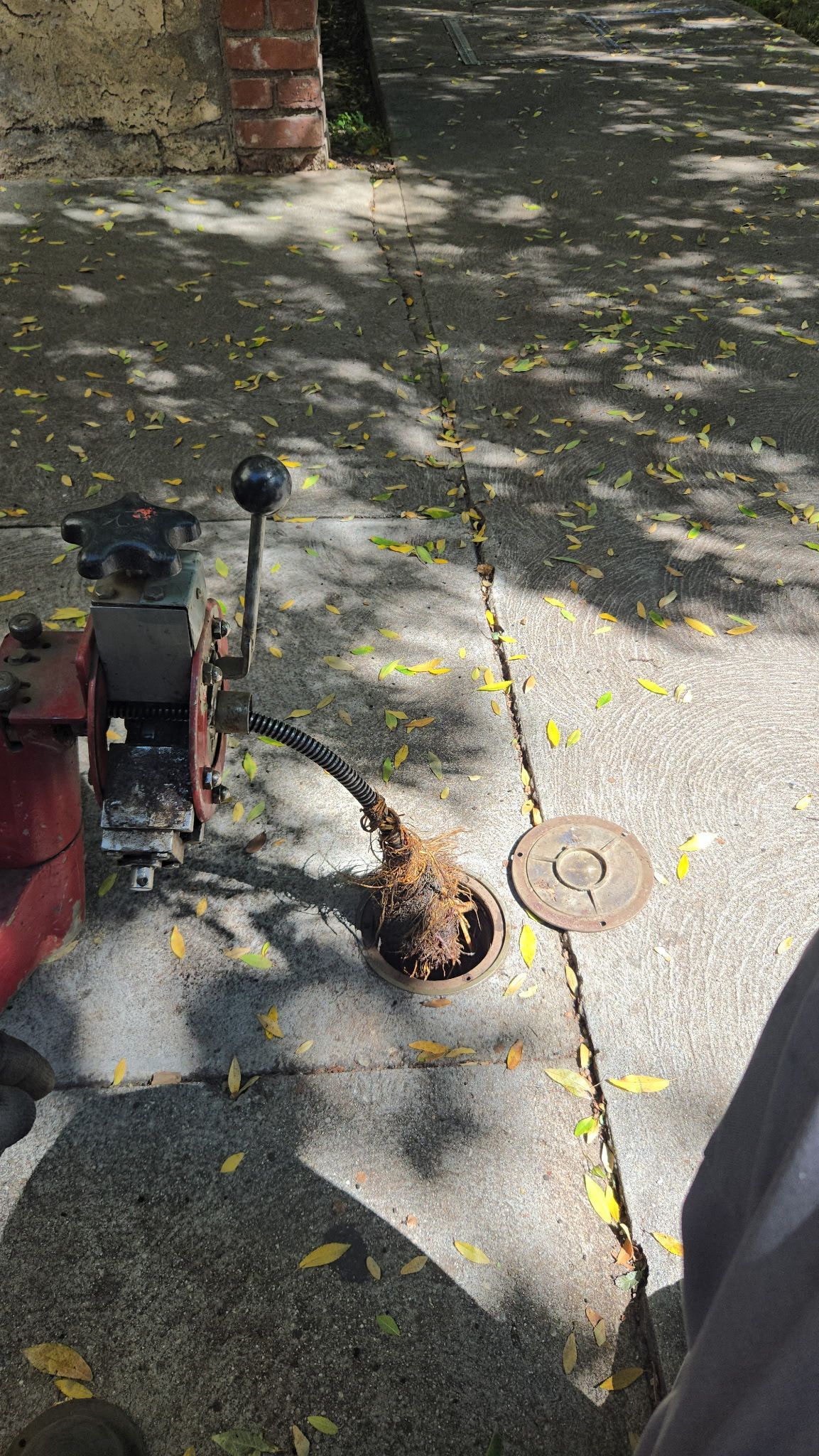 A red piece of machinery with a gear shift and a dangling, dark cable rests on a concrete sidewalk covered in fallen leaves.