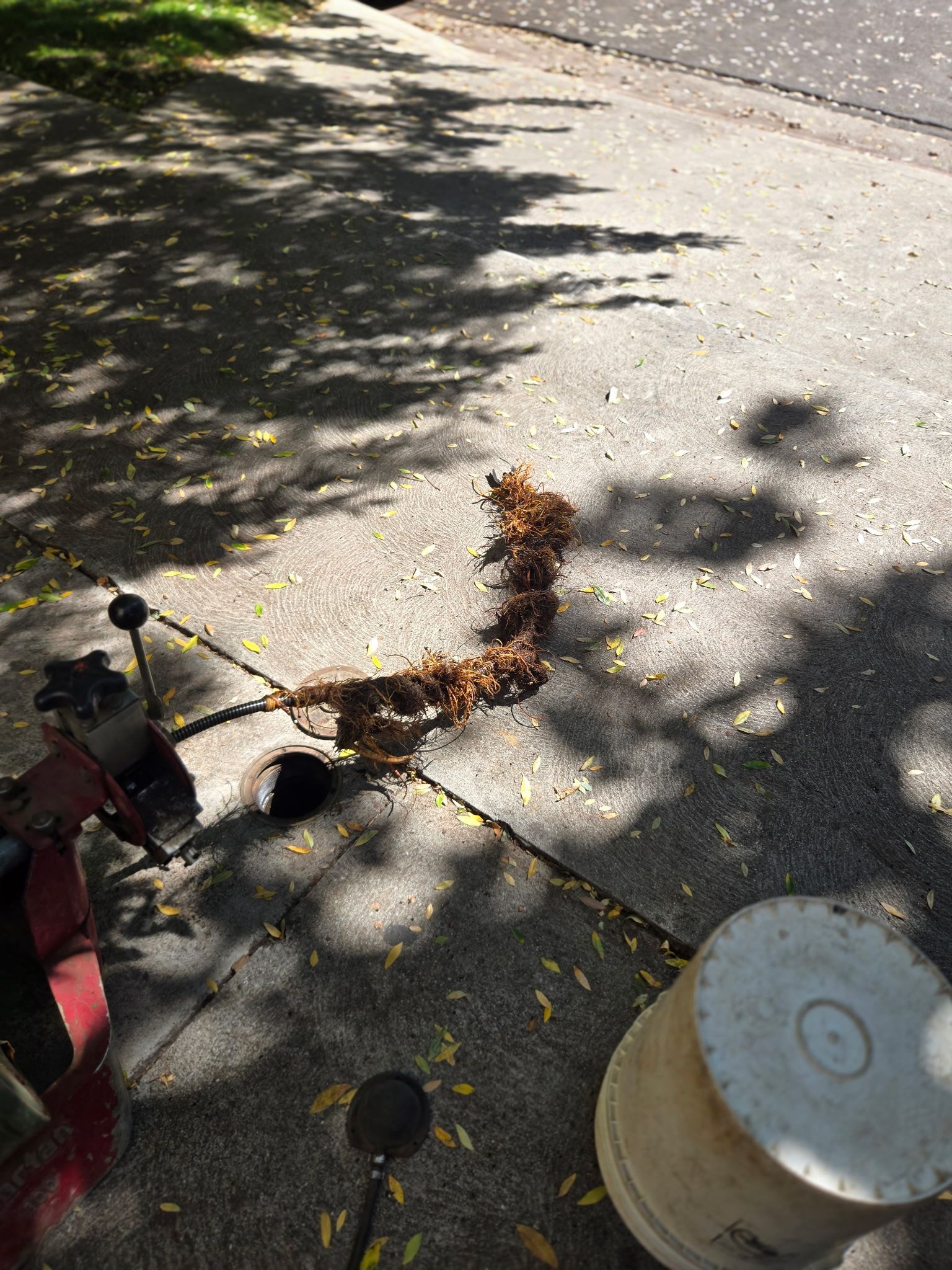 A mechanical drain snake pulls a long clump of debris from a hole in a paved driveway near a white bucket.