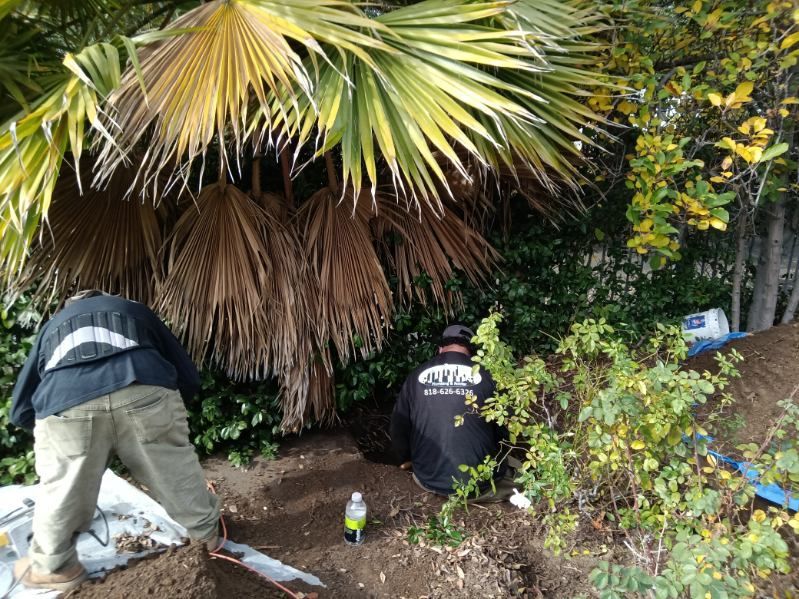 Two people in work jackets crouch and dig in a garden area under a palm tree.