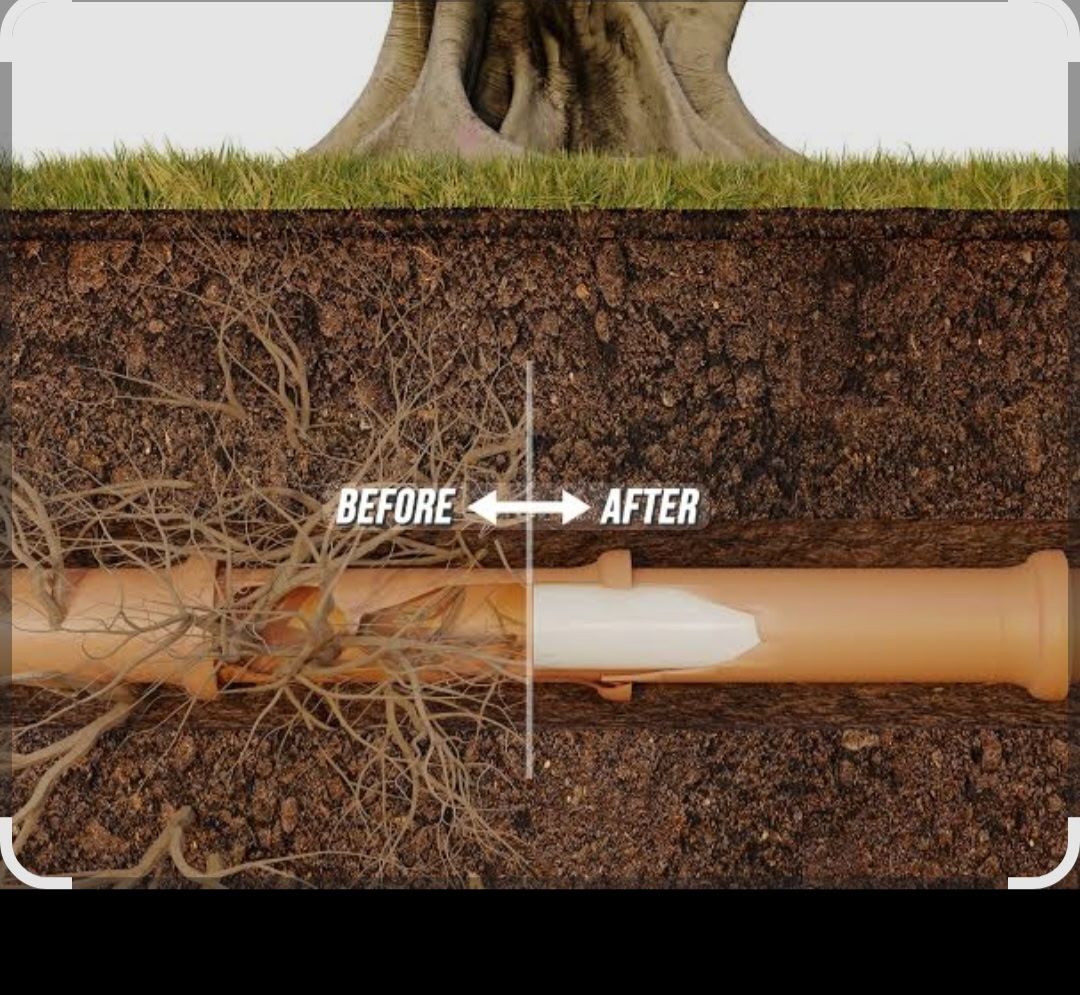 A split-screen comparison showing tree roots infiltrating an underground pipe before and after a pipe lining repair.