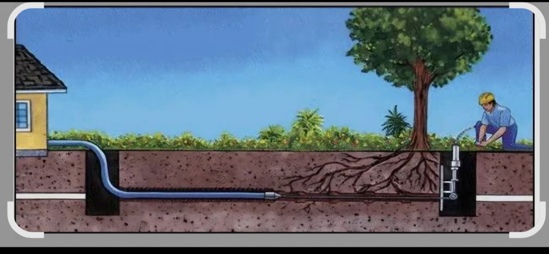 A technician uses a camera to inspect underground pipes that are being obstructed by tree roots near a house.