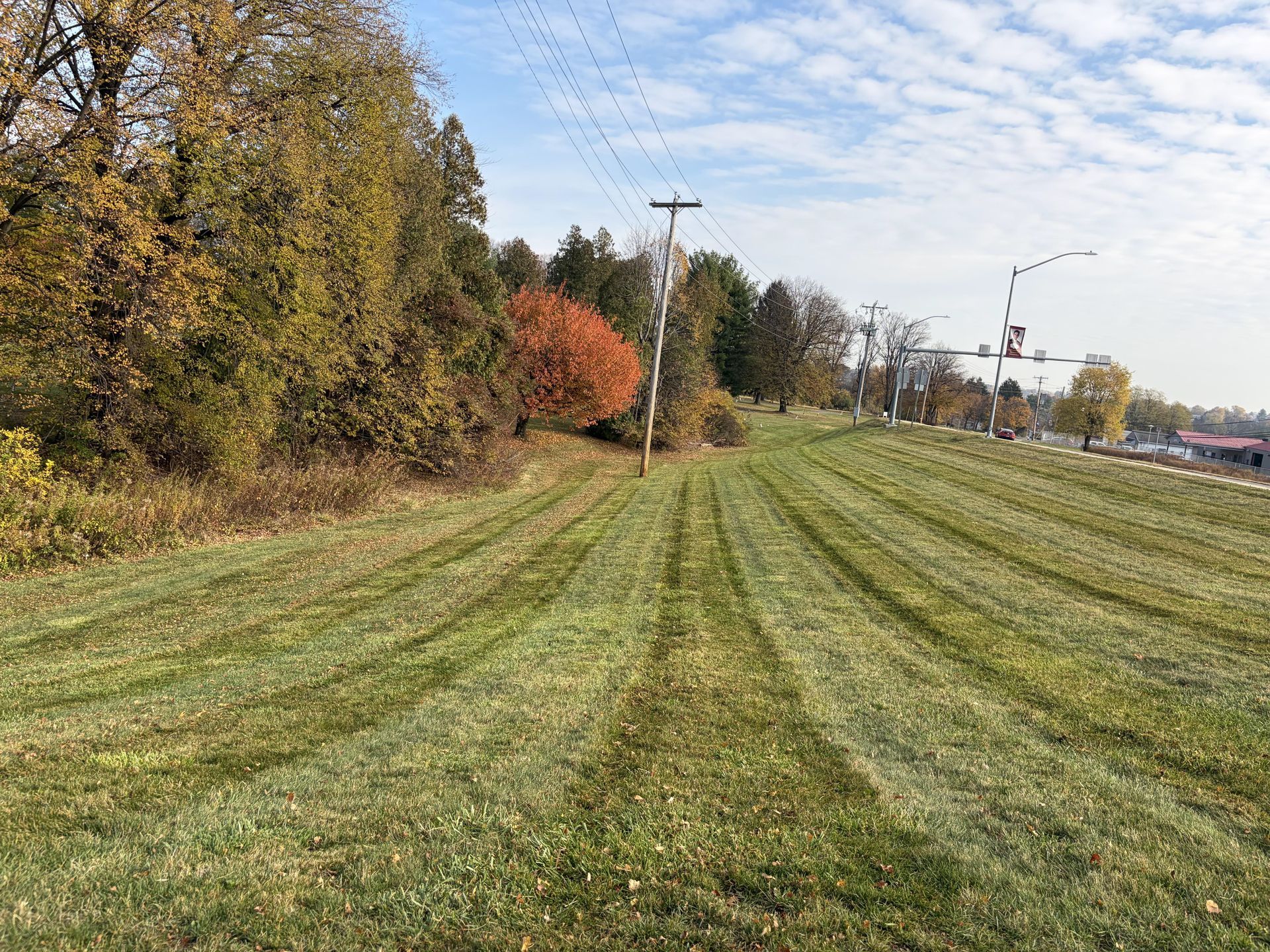 Grassy field with mower tracks, trees, and utility poles under a cloudy sky.