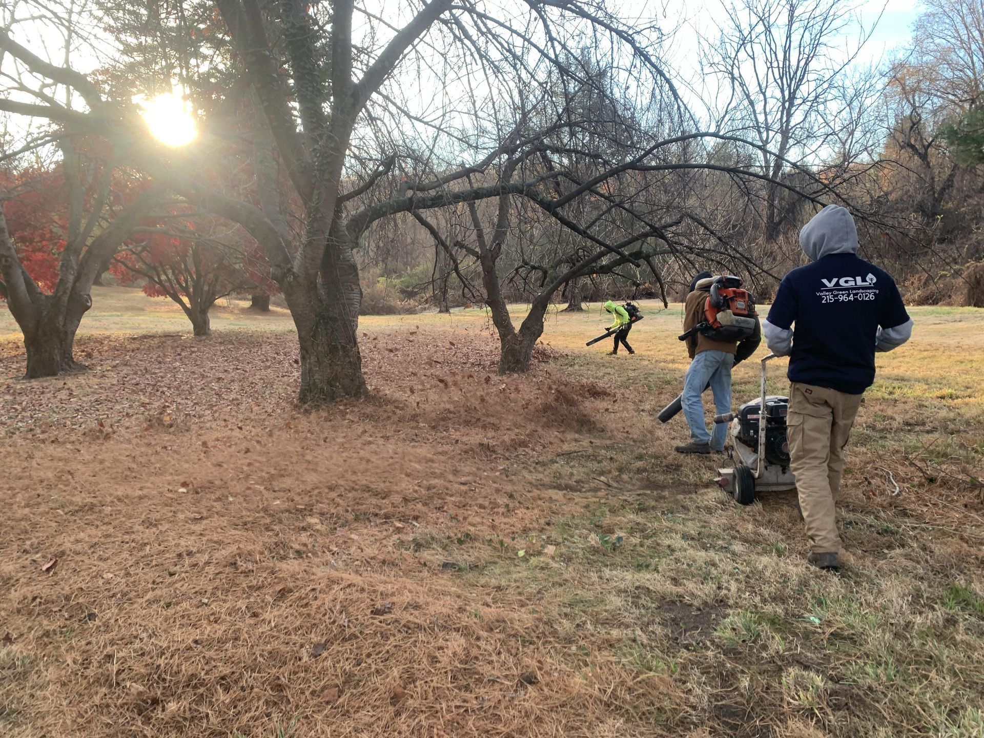Two people using leaf blowers in a yard. Trees with fallen leaves, sunny day.