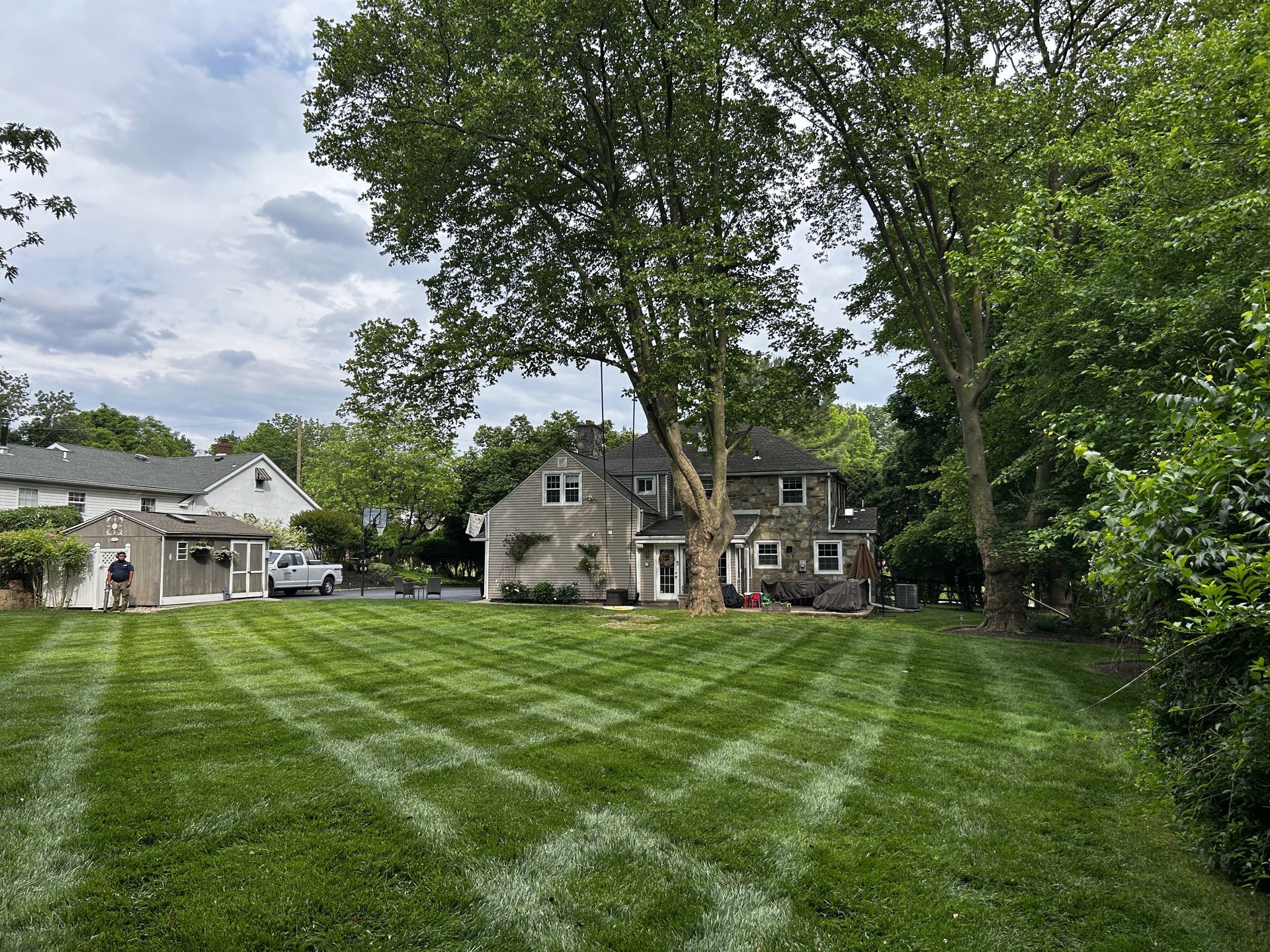 A house with a striped lawn and trees under a cloudy sky.