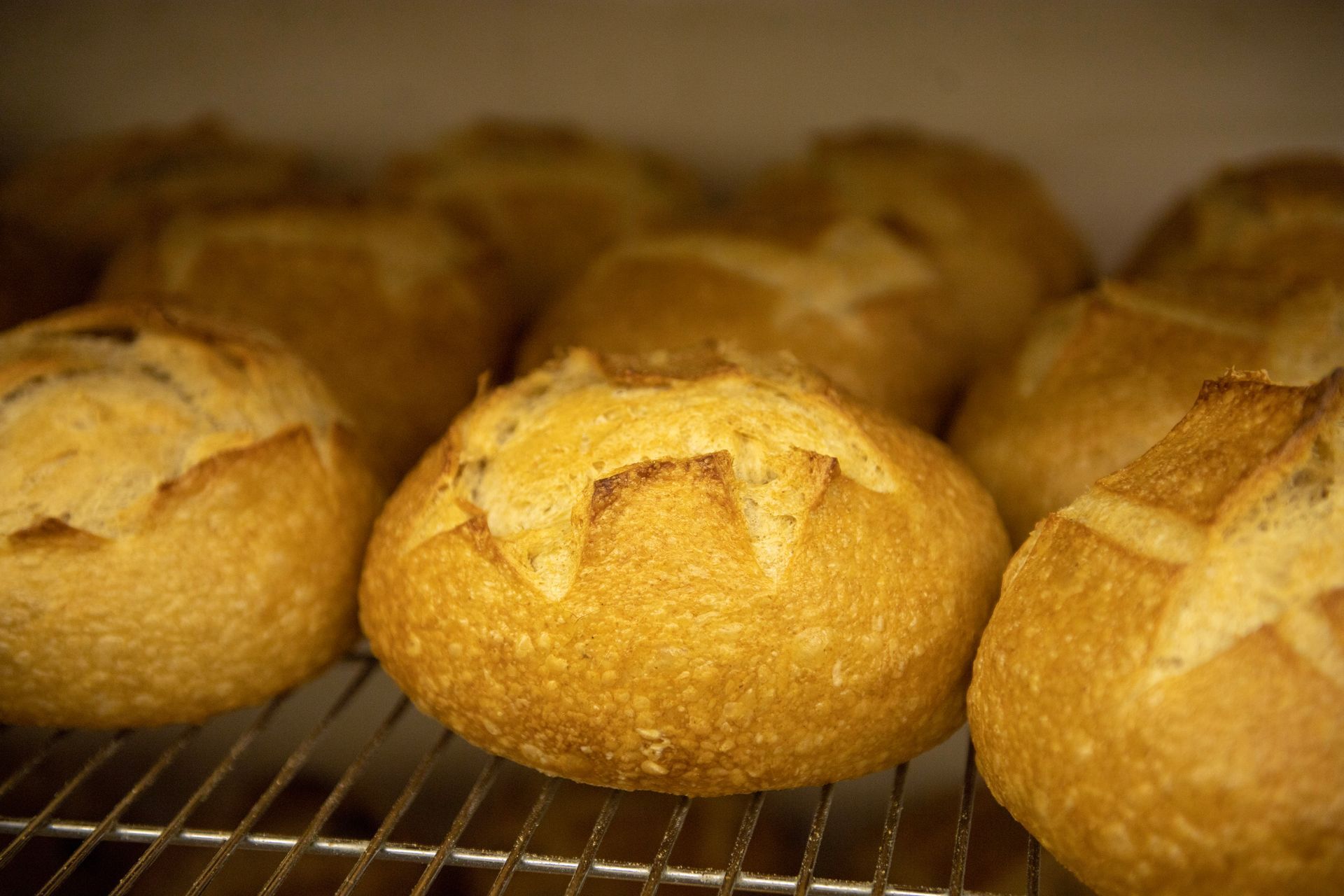 A bunch of bread rolls are sitting on a cooling rack.