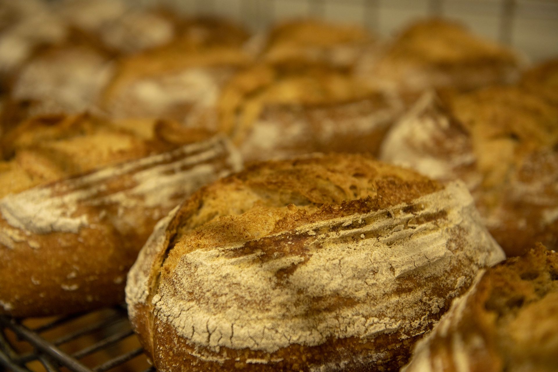A bunch of loaves of bread are sitting on a cooling rack.