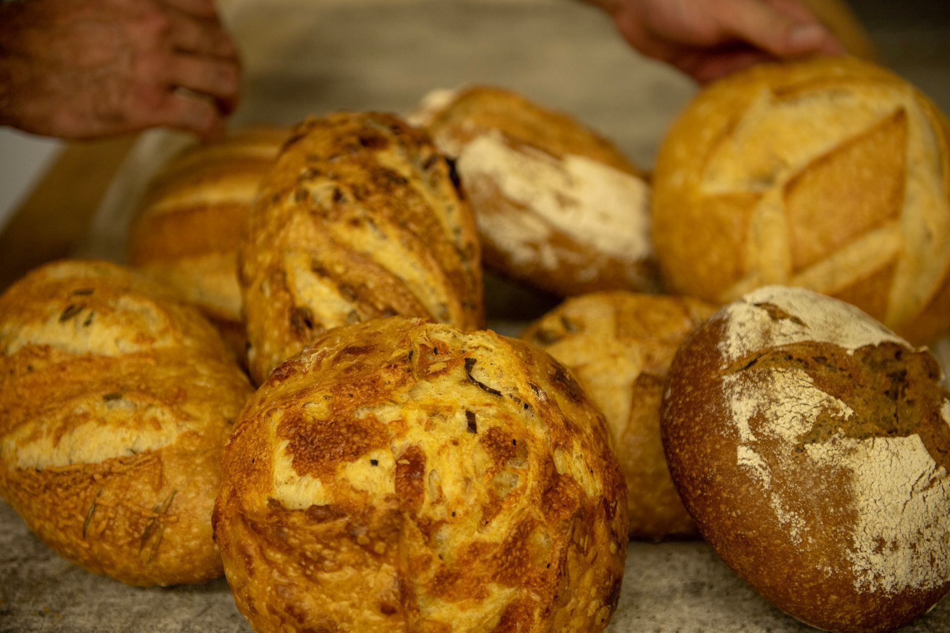 A bunch of different types of bread are sitting on a table.