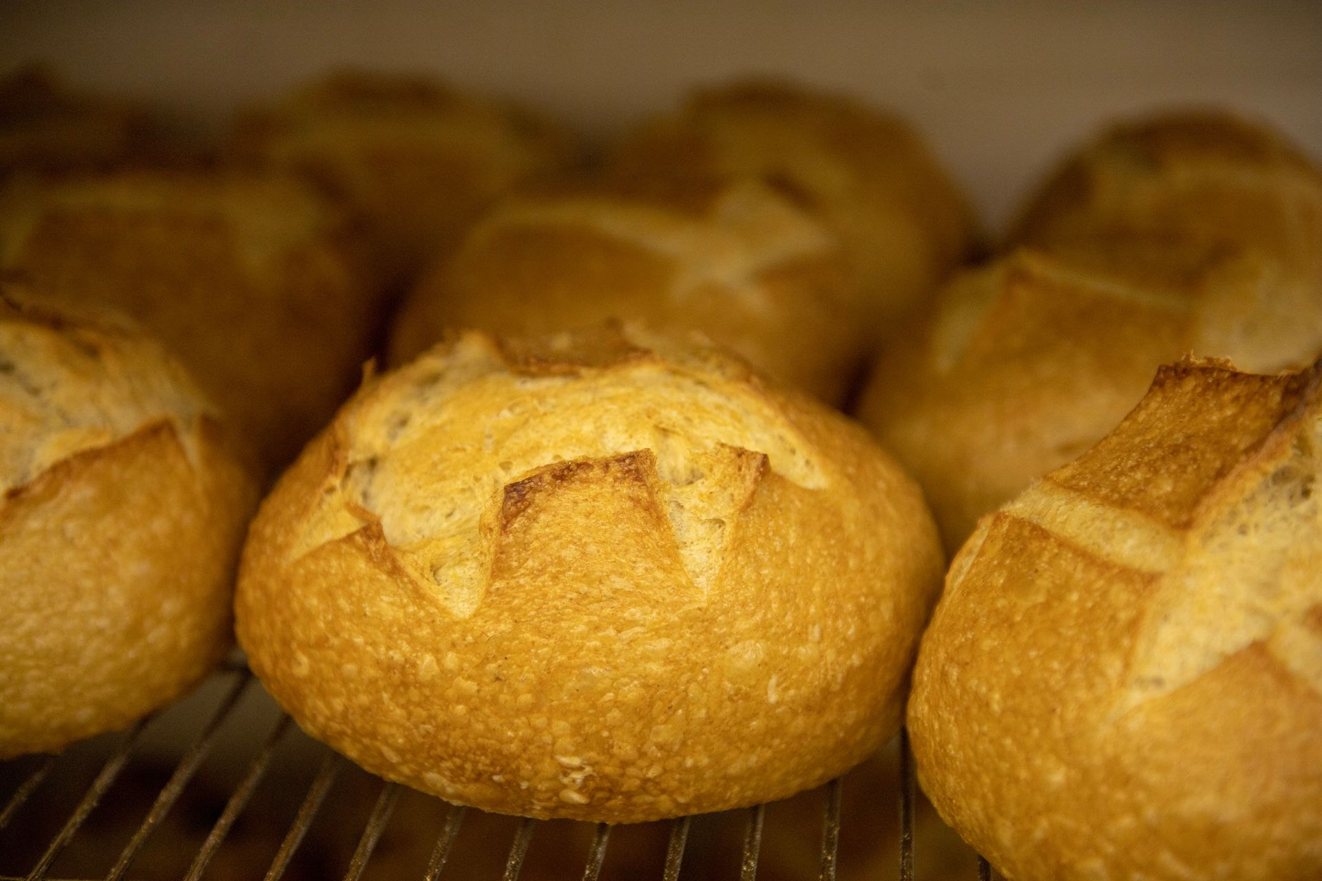 A bunch of bread rolls are sitting on a cooling rack.