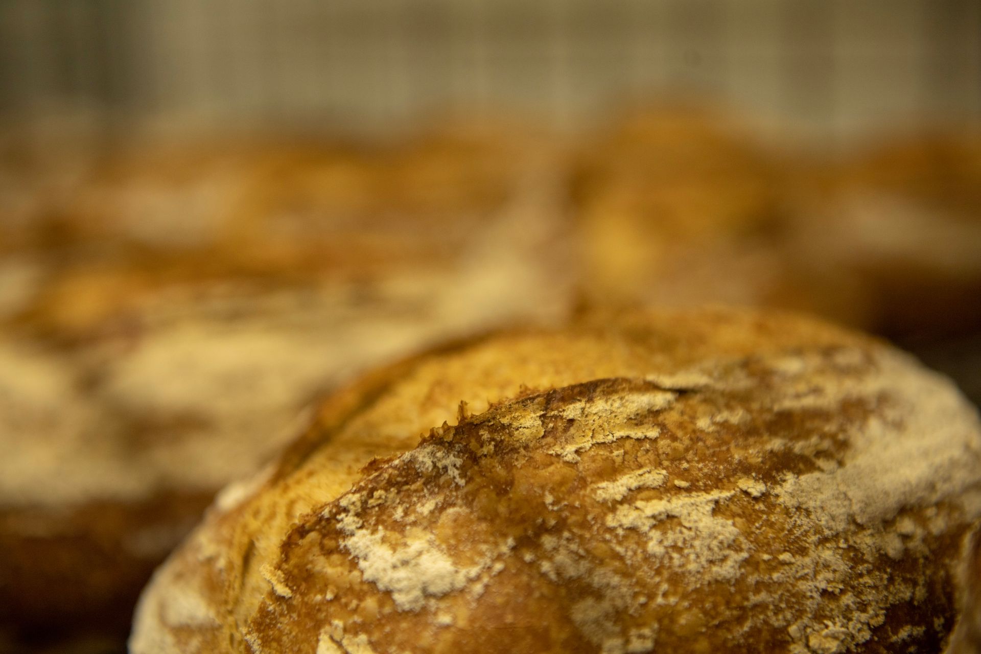 A close up of a loaf of bread on a table.