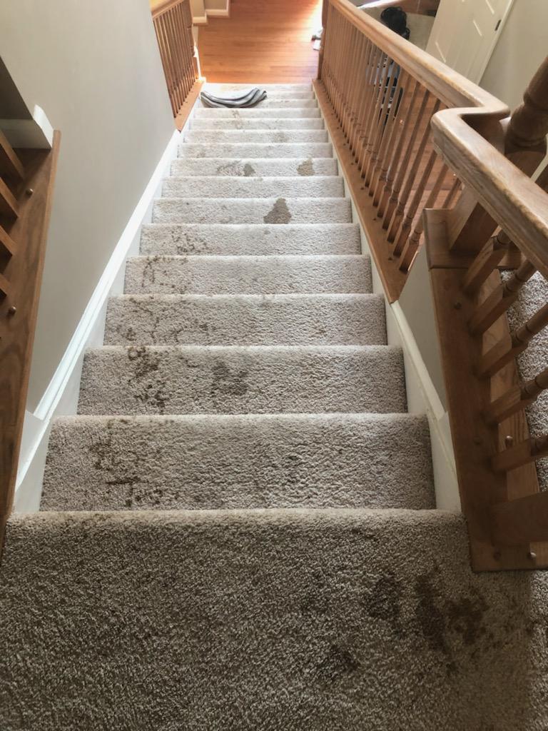 Stair carpet before