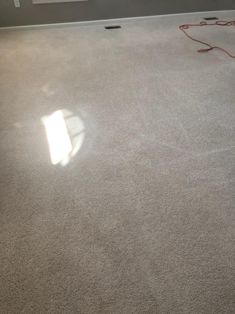 Carpet after