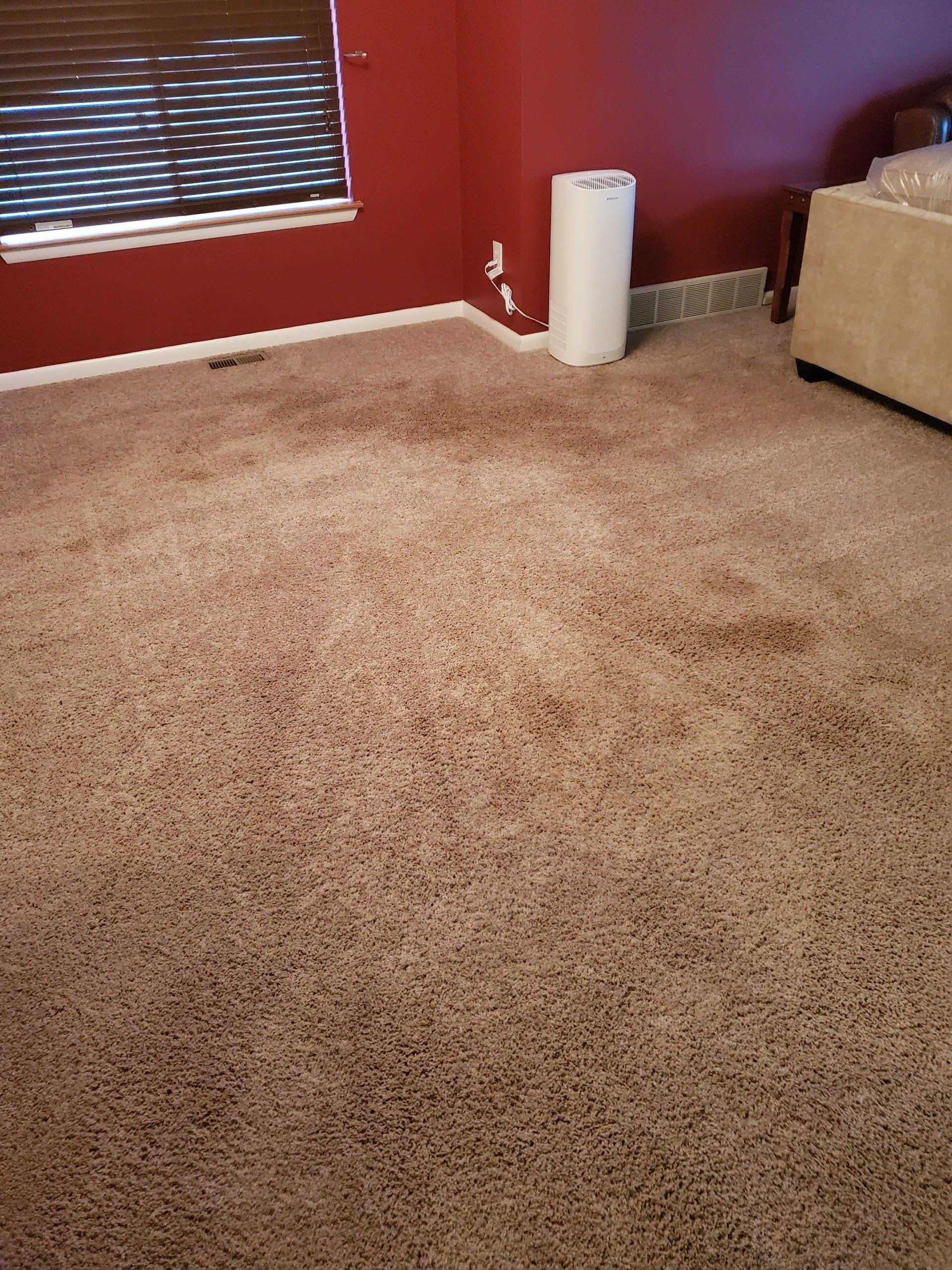 Room carpet after