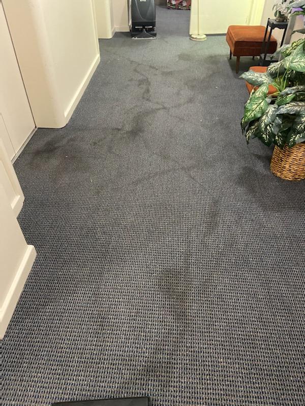 Commercial carpet before