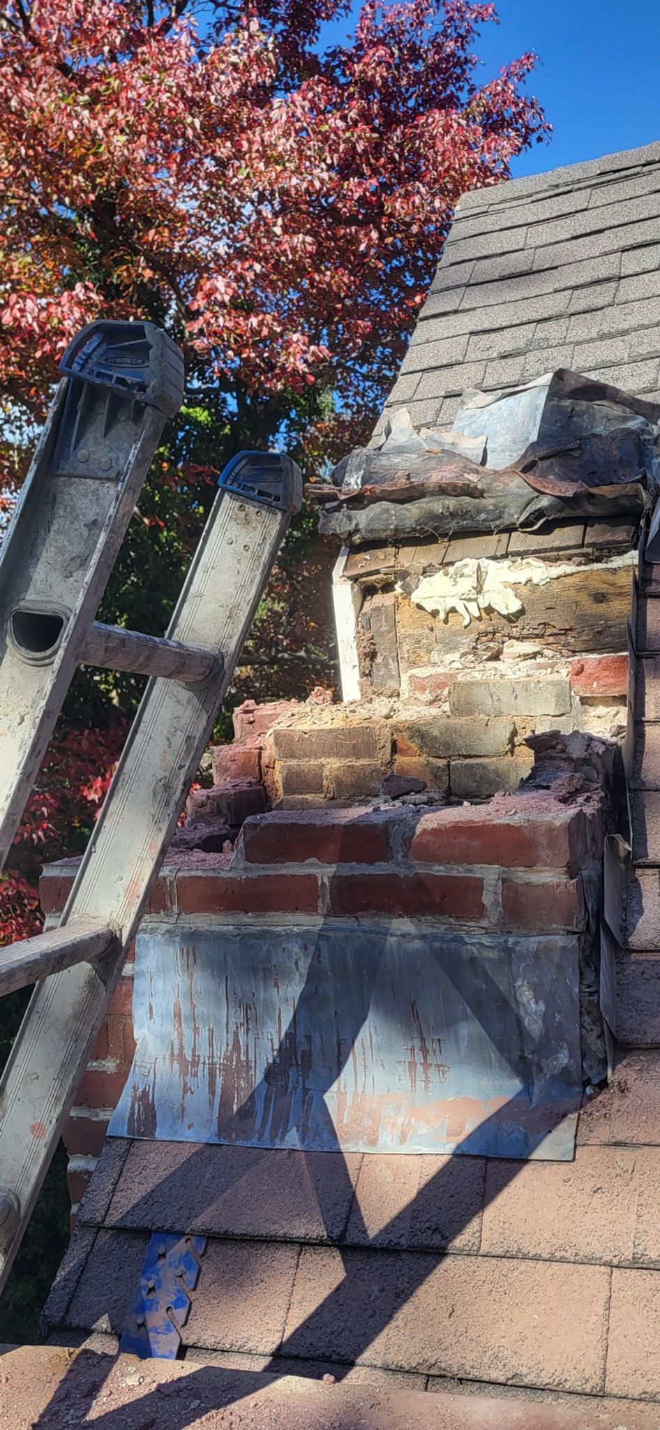 A ladder is sitting on top of a brick wall next to a tree