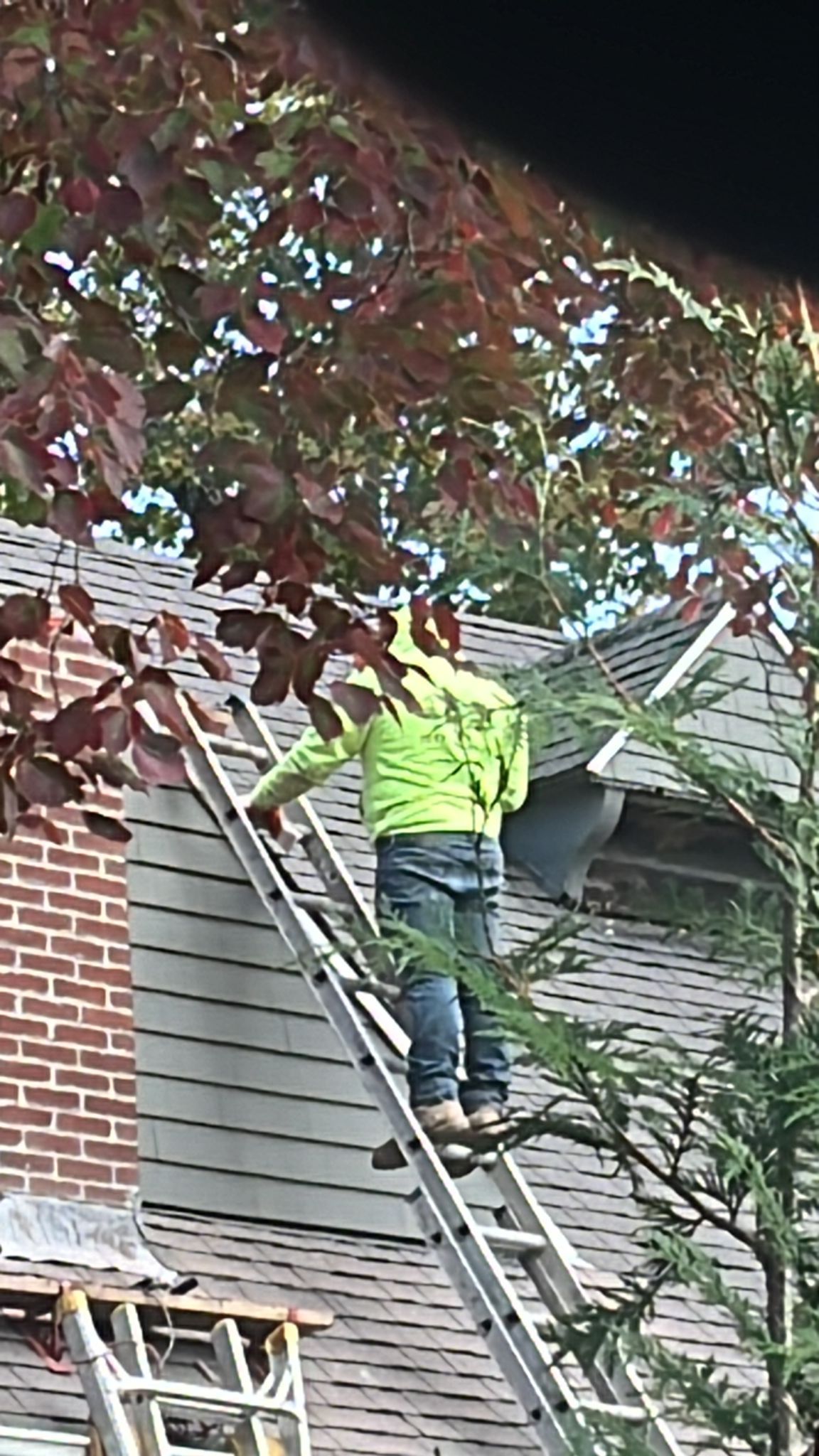 A man is standing on a ladder on top of a roof