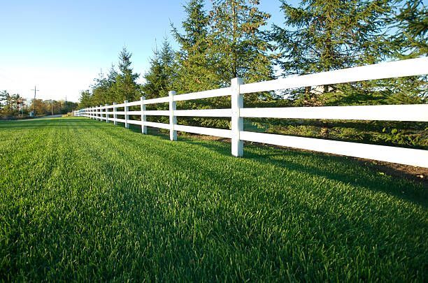 A white fence surrounds a lush green field