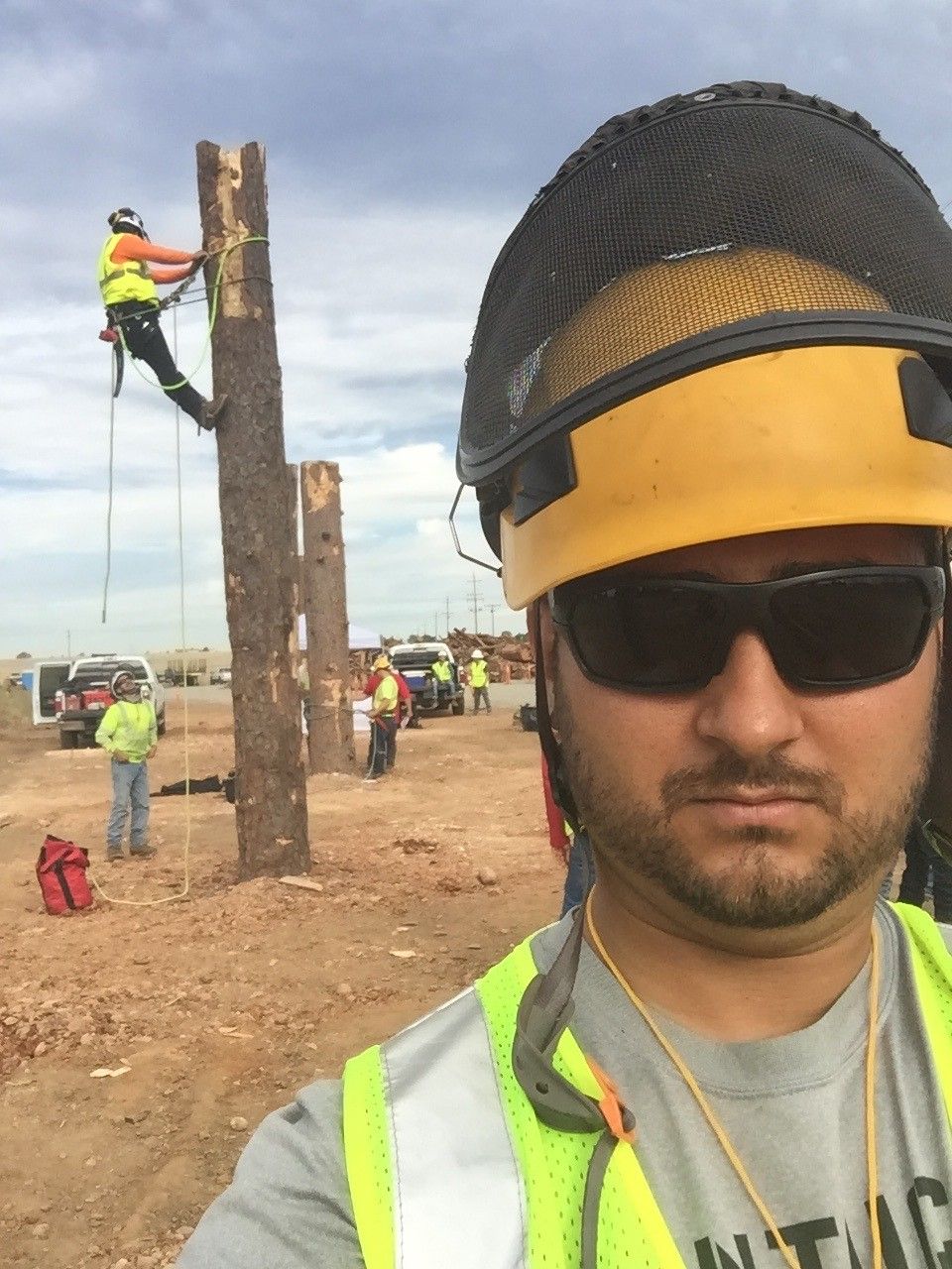 Native Tree Care Training in progress