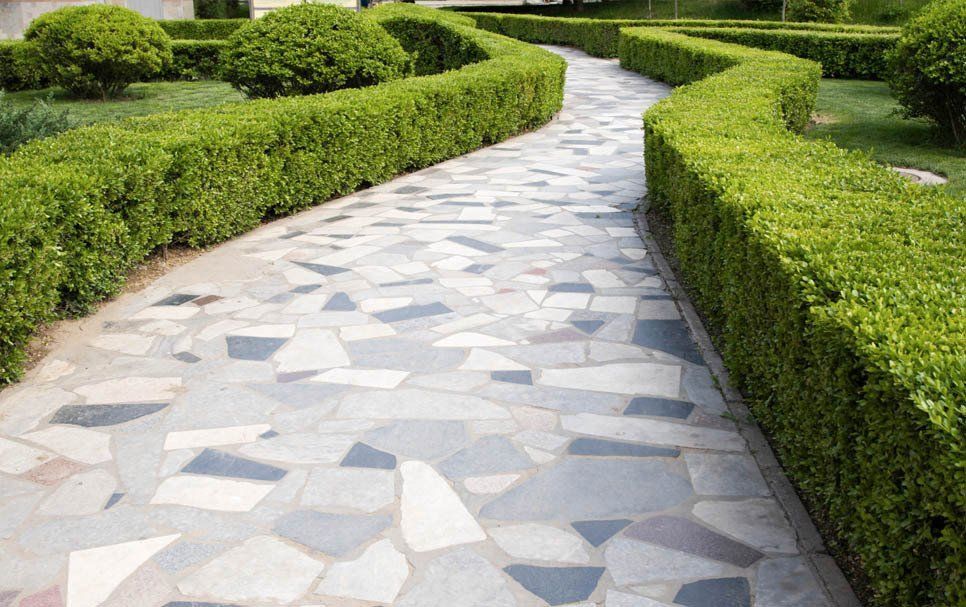 A stone walkway surrounded by bushes and trees in a park.